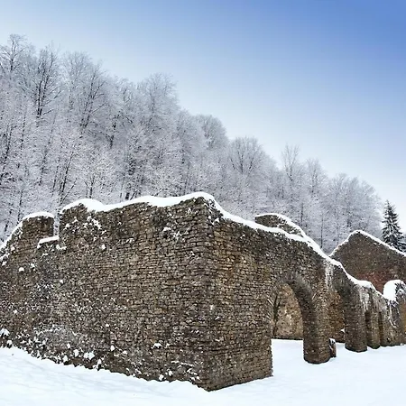 Hébergement de vacances Zythogite, 23 Personnes, 9 Chambres, 6 Salles De Bain, Bbq, Jacuzzi, Jardin, Billard