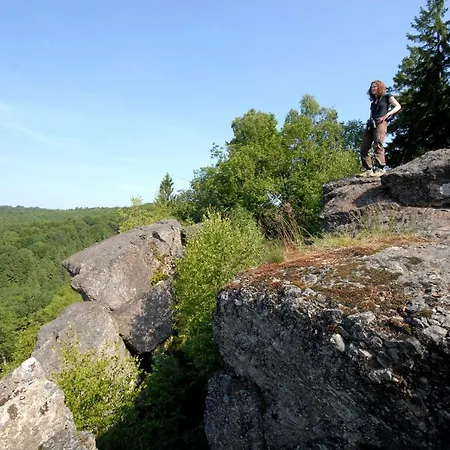 Zythogite, 23 Personnes, 9 Chambres, 6 Salles De Bain, Bbq, Jacuzzi, Jardin, Billard Tintigny
