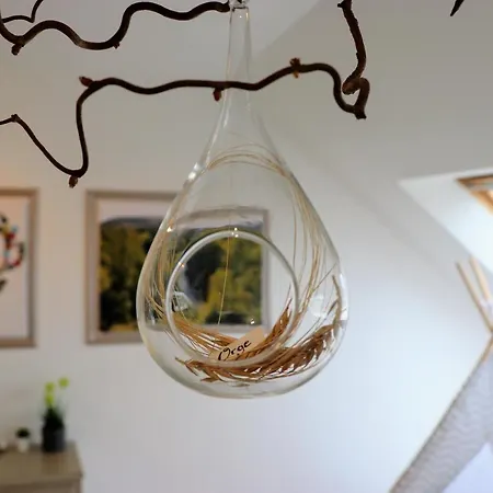 펜션 Zythogite, 23 Personnes, 9 Chambres, 6 Salles De Bain, Bbq, Jacuzzi, Jardin, Billard Tintigny