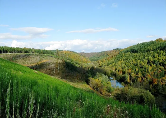 Dom wakacyjny Zythogite, 23 Personnes, 9 Chambres, 6 Salles De Bain, Bbq, Jacuzzi, Jardin, Billard *