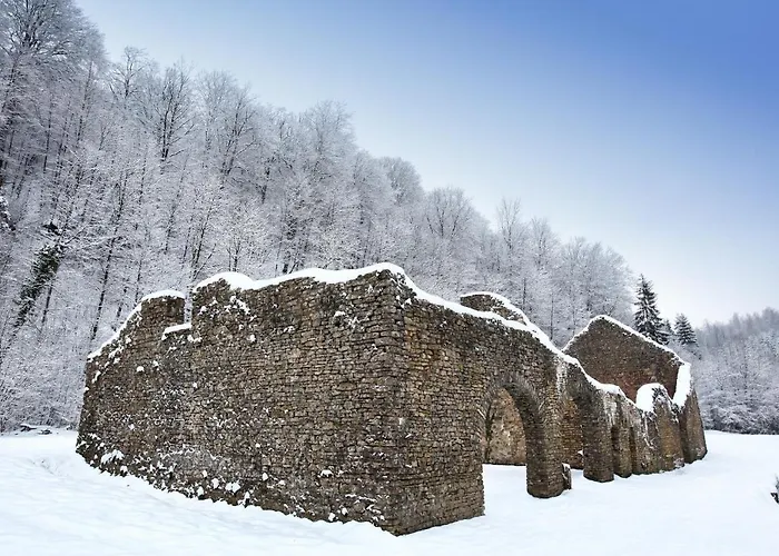 Dom wakacyjny Zythogite, 23 Personnes, 9 Chambres, 6 Salles De Bain, Bbq, Jacuzzi, Jardin, Billard