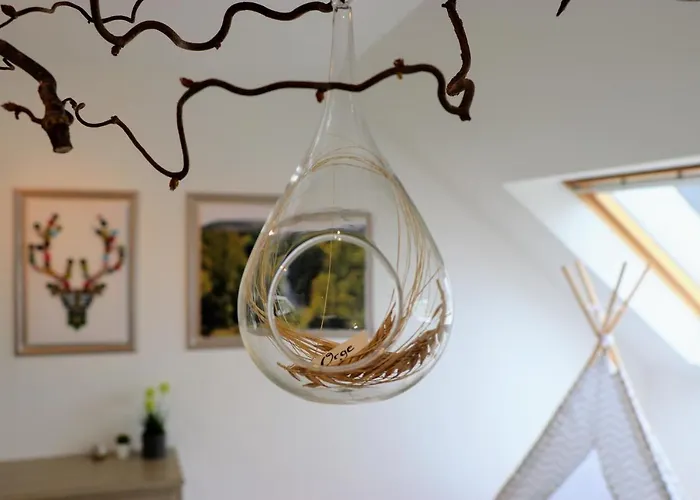 Dom wakacyjny Zythogite, 23 Personnes, 9 Chambres, 6 Salles De Bain, Bbq, Jacuzzi, Jardin, Billard Tintigny